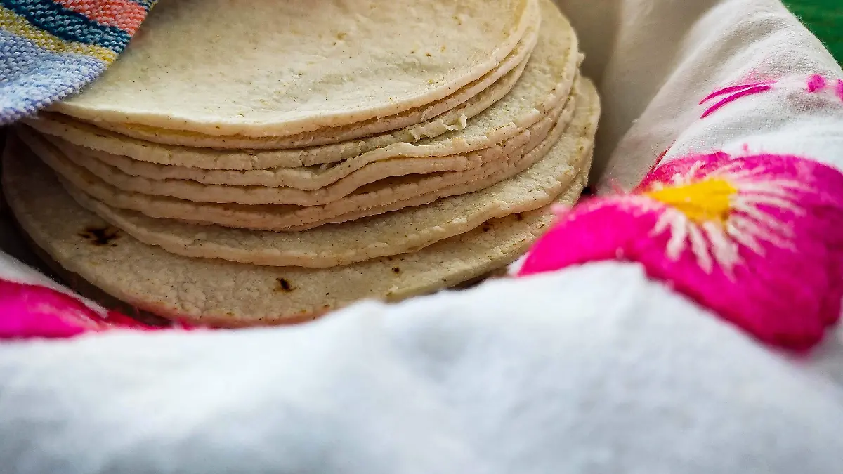 CANASTA TORTILLAS_JGS (5)